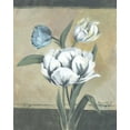 thumbnail image 2 of Cohen, Marietta 12x14 White Modern Wood Framed Museum Art Print Titled - White Tulips I, 2 of 4