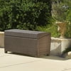 Noble House Brown Outdoor Wicker Storage Chest