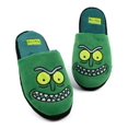 thumbnail image 1 of Rick And Morty Mules Vertes pour Hommes, 1 of 6