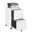 thumbnail image 1 of STANI 2 Drawer Mobile Metal File Cabinet, 28"H White Lockable Rolling Filing Cabinet for Home Office Files Management Assembly Required, 1 of 7
