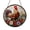 Acrylic 3.5 Inch, variant on Floral Chicken Stained Glass Suncatcher Window Art, Farm Garden Nature Design Panel