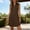 Brown, variant on Midi Womens Sun Dresses Red Casual Summer Sleeveless Shirt Dress V Neck Button Loose Fit Vacation Casual Dresses