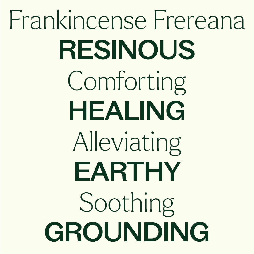 Plant Therapy Frankincense Frereana Organic Essential Oil 100% Pure, USDA Certified Organic, Undiluted 10 mL (1/3 oz)