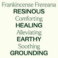 thumbnail image 4 of Plant Therapy Frankincense Frereana Organic Essential Oil 100% Pure, USDA Certified Organic, Undiluted 10 mL (1/3 oz), 4 of 8