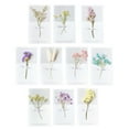 thumbnail image 4 of 12pcs Teachers' Day Gift Valentine's Day Dried Flower Greeting Cards (Random Style), 4 of 6
