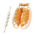 thumbnail image 4 of 29 ruedas Fascia muscular relajante relajante rodillo de masaje para el golf para las piernas del brazo del codo naranja, 4 of 8