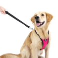 thumbnail image 5 of Cinturón de seguridad para perros VavoPaw, arnés de seguridad para coche, nailon, magenta, XL, 5 of 5