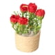 thumbnail image 5 of 2x Casa de Muñecas en Maceta Paisaje de Rosas Modelo 1:6 Decoraciones DIY Accesorios de Sala de Estar Modelo de Bonsái Artificial para Adornos de Casa, 5 of 9