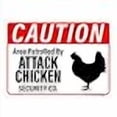 thumbnail image 3 of Caution Attack Chicken Security Co. Sign, Includes Holes, 3M Quality Reflective, Aluminum, 14" X 10", Made in USA (Red Non-Reflective), Funny, Safety, 3 of 4