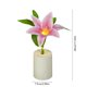 thumbnail image 3 of Lámpara de noche en maceta de flores Lámpara mini de escritorio alimentada por pilas, lámpara de noche de plástico rosa blanco rosa rosa cuna 30 cm, regalo romántico de decoración para mujeres, 3 of 6