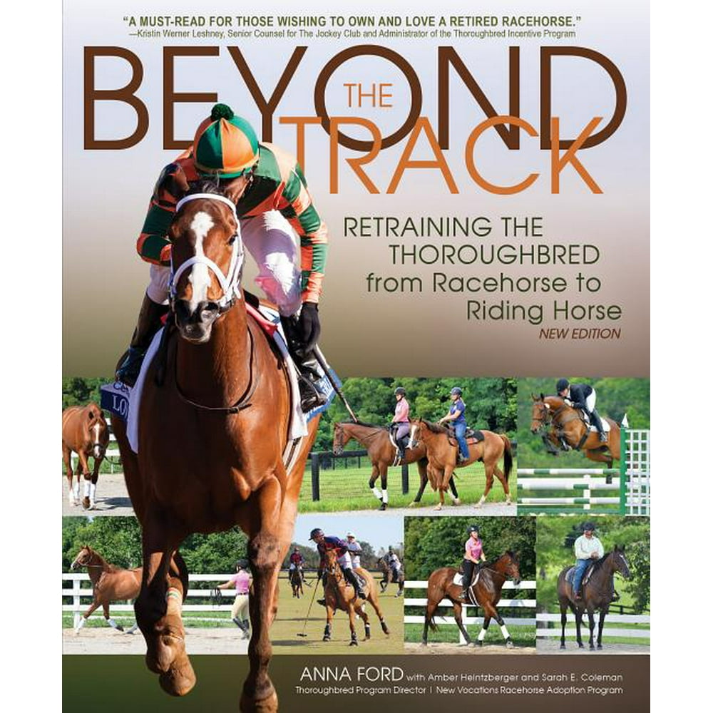 Beyond the Track Retraining the Thoroughbred from Racehorse to Riding