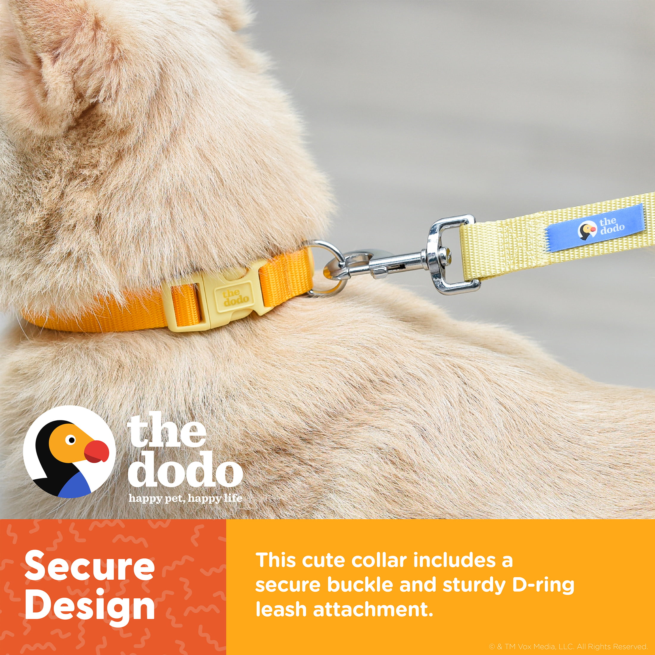 The Dodo Yellow Dog Collar and Leash Set - Large 