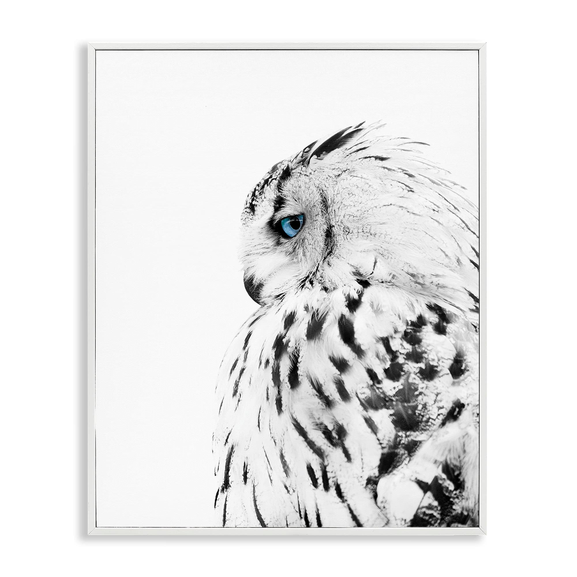 Stupell Industries Snow Owl White Feathers Peering Blue Eyes Photography Framed Art Print Wall Art, 11x14, By Design Fabrikken