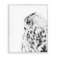 thumbnail image 3 of Stupell Industries Snow Owl White Feathers Peering Blue Eyes Photography Framed Art Print Wall Art, 11x14, By Design Fabrikken, 3 of 5