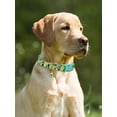 thumbnail image 3 of Collar Con Estampado De Frutas Para Perros, Cachorros Y Gato, 3 of 8