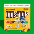 thumbnail image 2 of M&Ms Peanut Milk Chocolate Candy, Family Size, 18.08 Oz Resealable Bulk Bag - Pack Of 1 & Lotus Biscoff Cookie - 0.2 Oz - 1 ct, 2 of 5