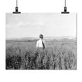 thumbnail image 2 of Print: Mr. Rickert In Grain Field On His Farm, circa 1900, 2 of 4