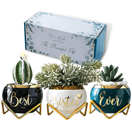 PeraBella Sister Birthday Gifts Best Sister Ever Gifts for Sister from Brother 3 Succulent Pots