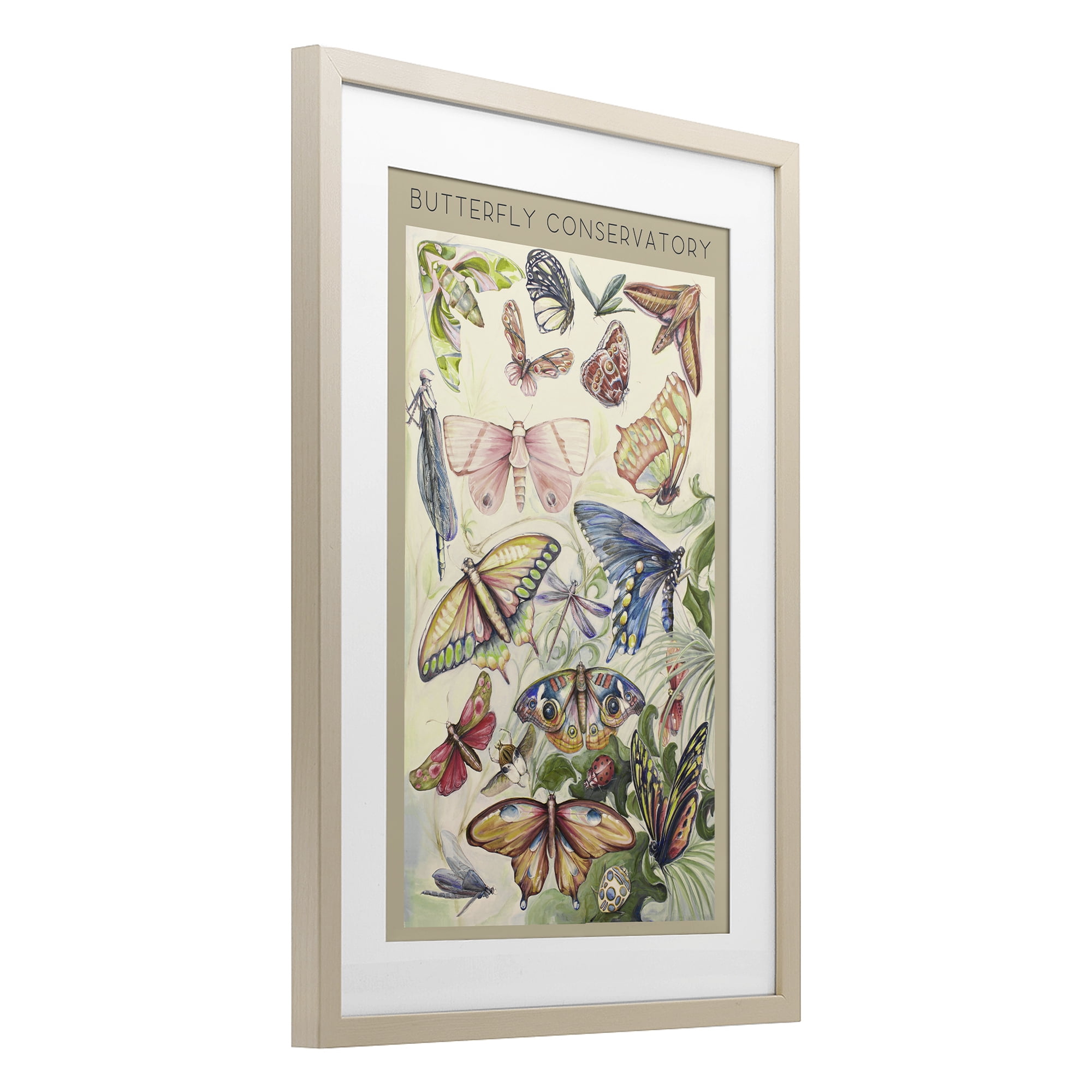 Stupell Industries Butterfly Conservatory Insects Birch Framed Print Under Glass, design by Diannart