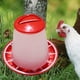 thumbnail image 4 of Comedero colgante de plástico para aves, apto para bebederos y comederos para pollos, codornices, pollitos y gallinas., 4 of 5