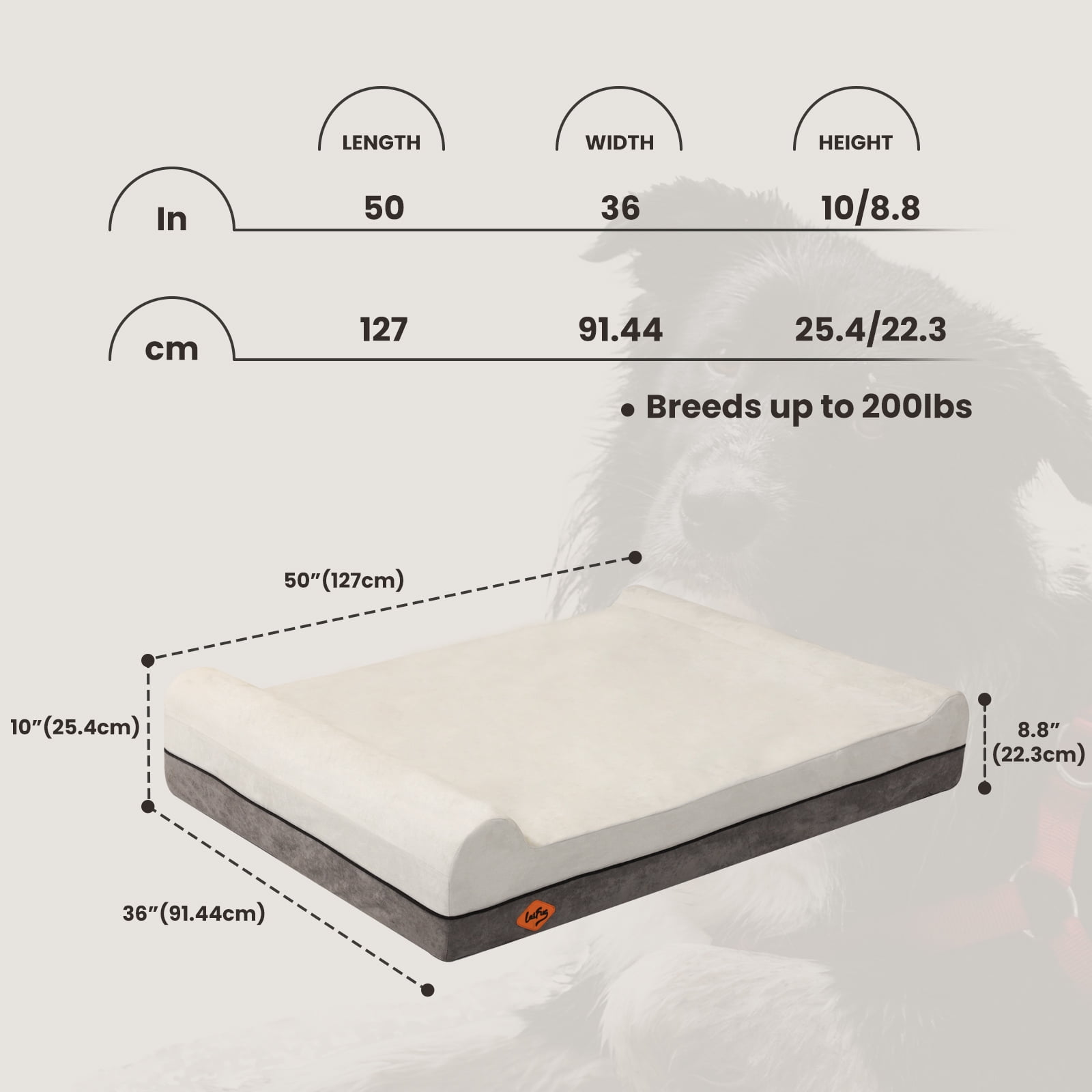 Laifug Extra Large Dog Bed with Orthopedic Memory Foam, Dog Pillow, Waterproof Liner & Washable Cover