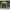 Khaki, variant on Square 10 Foot Double Vented Gazebo With Drapes