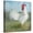 Canvas, variant on Art.com Noble Rooster I Vintage No Border Art Print by Danhui Nai, 24" x 24"