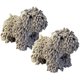 thumbnail image 1 of wonima44 Cute Puppy Chenille Hand Towel for Bathroom Kitchen,Soft Absorbent Microfiber Hand Towels for Bathroom,with Hanging Loop (2pc E), 1 of 1