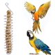 thumbnail image 3 of Comederos de frutas, 2 piezas Comedero de pájaros en espiral Accesorios de alimentación en jaula Comedero de frutas y verduras Cesta de pájaros para loros Comida para pájaros o animales pequeños para masticar y jugar. oso de fresa Electrónica, 3 of 5