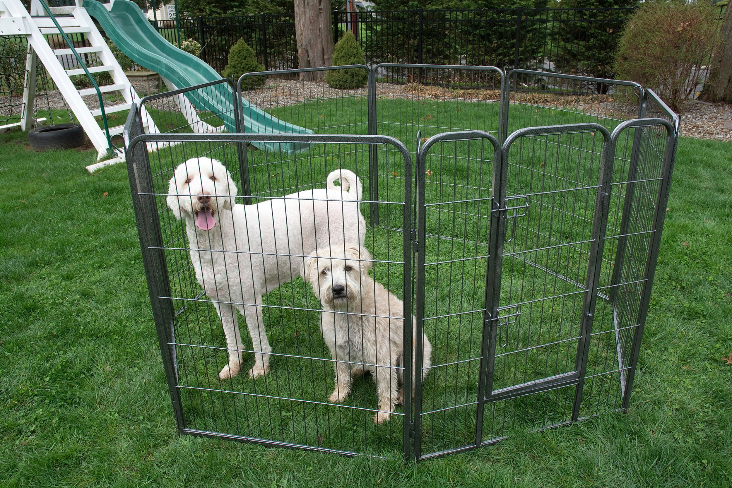 Iconic Pet Heavy Duty Metal Pet Playpen, 40" H - Walmart.com