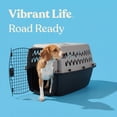 thumbnail image 4 of Vibrant Life Large Plastic Hard-Sided Pet Carrier, Black and Gray, 90 lb Limit, 4 of 9