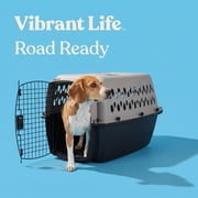 (3 pack) Vibrant Life Large Plastic Hard-Sided Pet Carrier, Black and Gray, 90 lb Limit