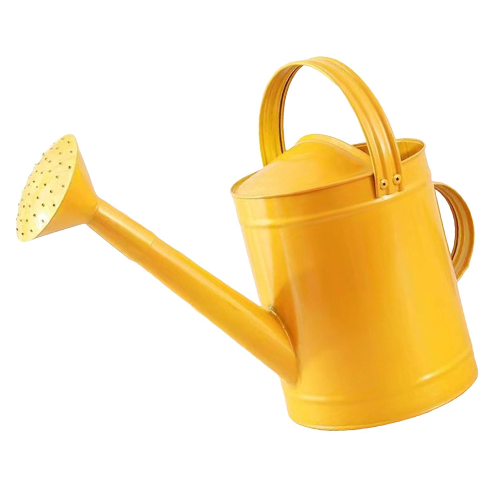 YWMJZEU 4L Watering Can with Handle, Leak, Removable Spout, Garden Tool, Rust-Resistant, golden