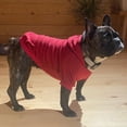 thumbnail image 4 of Small Dog Clothes Winter Pet Hoodie Puppy Cat Coat Jacket French Bulldog Chihuahua Yorkie Costume Pug Outfits Pets Supplies, 4 of 5