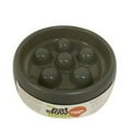 thumbnail image 6 of Greedy Pup The Eat Slow Bowl by Greedy Pup Gray One-Size, 6 of 6