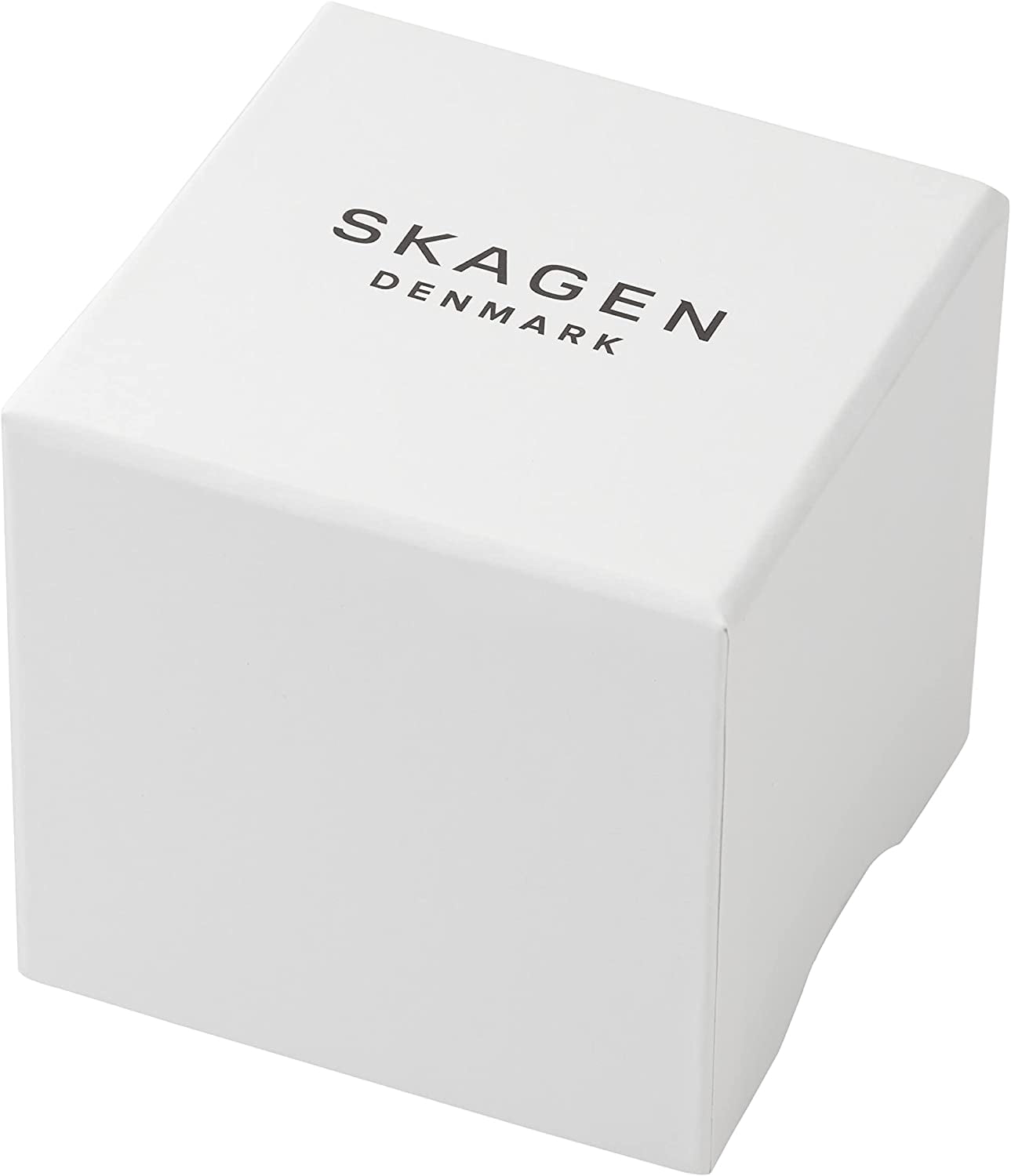 Skagen Watch In Box Men main image 4