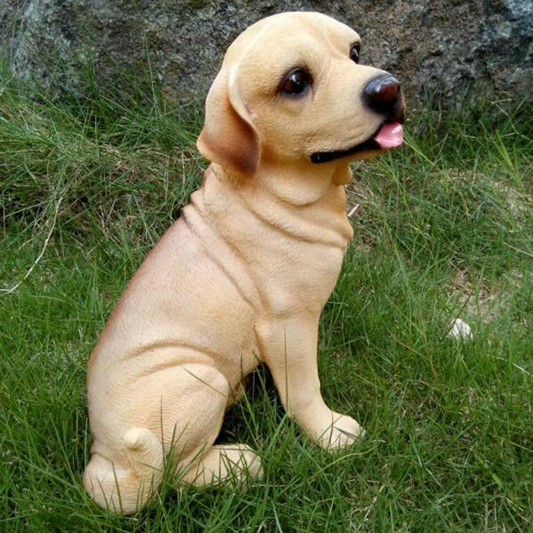 Labrador retriever sale accessories