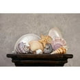 thumbnail image 3 of McNemar, C. Thomas 18x13 Black Modern Framed Museum Art Print Titled - Seashell Still Life II, 3 of 5