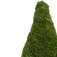 thumbnail image 4 of 20.5" Green Reindeer Moss Potted Artificial Spring Floral Topiary Tree, 4 of 4