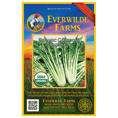 - Everwilde Farms - 500 Organic Catalogna Emerald Endive Seeds - Gold Vault Jumbo Bulk Seed Packet