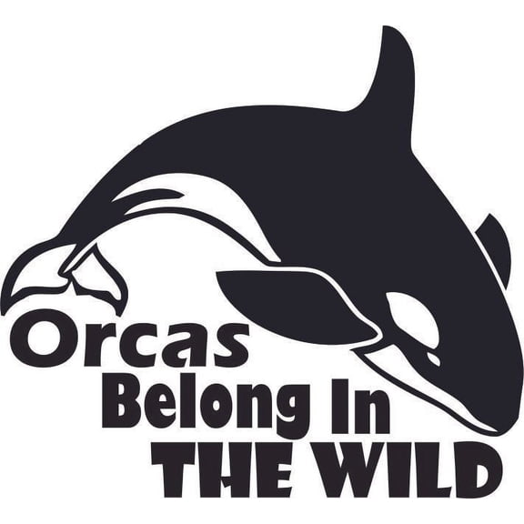 Orcinus Orca Belong To The Wild Customized Wall Decal - Custom Vinyl Wall Art - Personalized Name - Baby Girls Boys Kids Bedroom Wall Decal Room Decor Wall Stickers Decoration Size (20x20 inch)