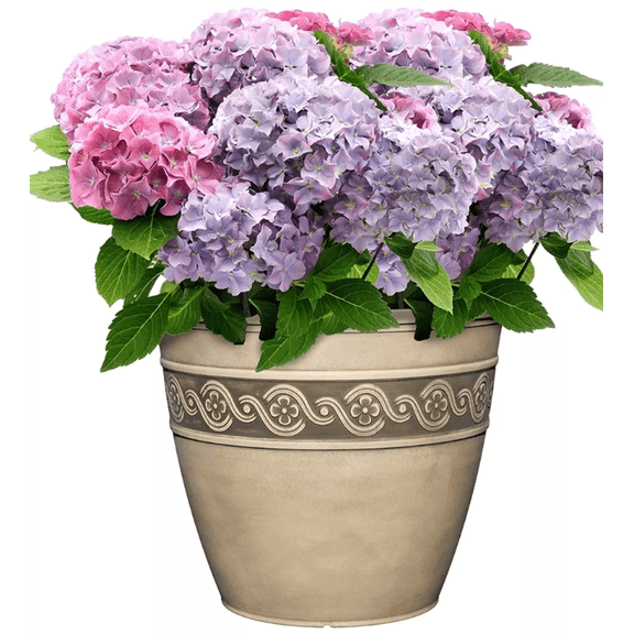 KEKismET-Classic Home and Garden Indoor/Outdoor Round Corinthian Resin Flower Pot Planter