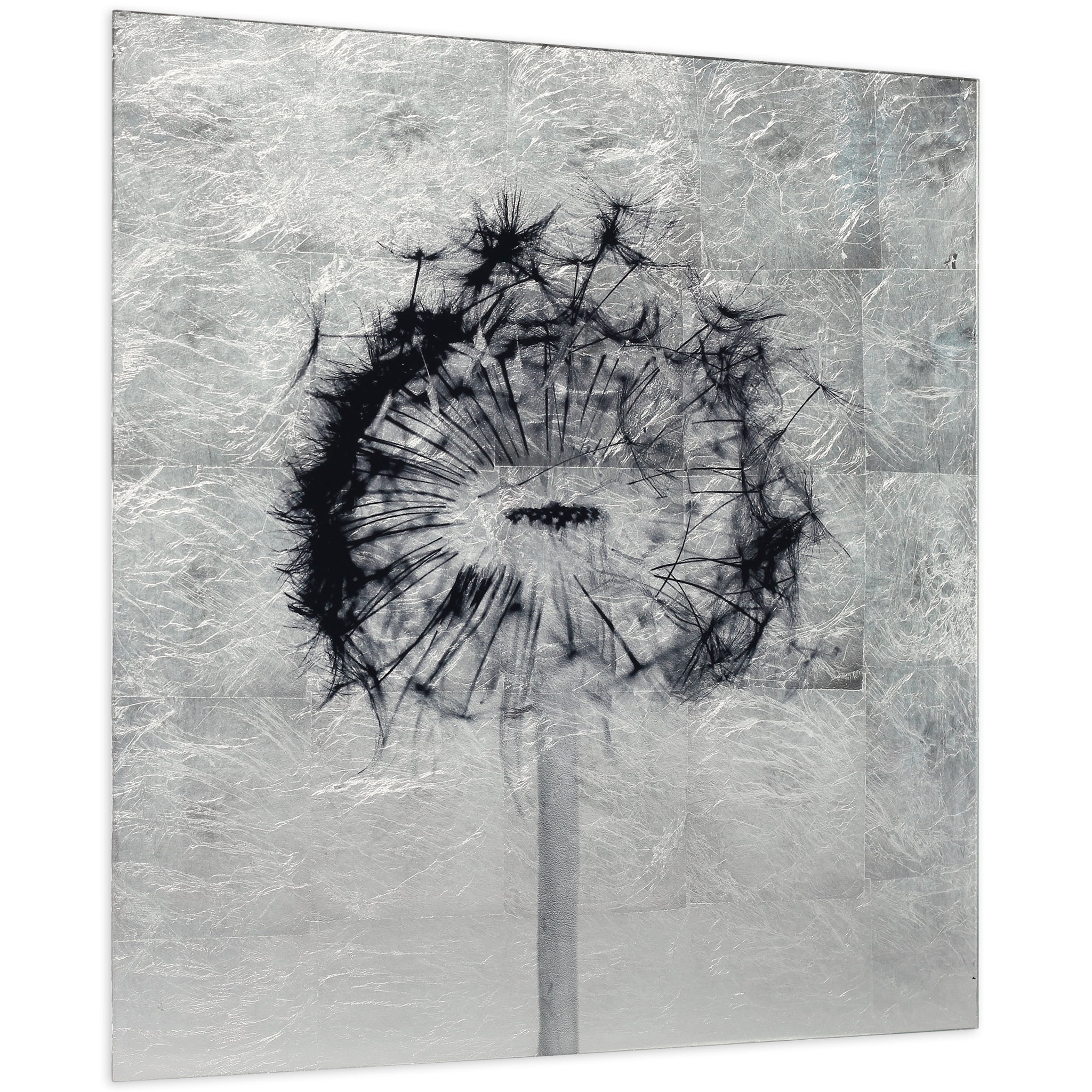 Direct Dandelion Reverse Printed Tempered Glass with Silver Leaf 24.00" x 24.00" Painting Art Prints, by Empire Art
