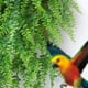 thumbnail image 4 of Pared al aire libre Hojas Artificiales Colgante Decoración Interior 1Pack Plantas flores artificiales, 4 of 6