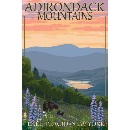 Adirondacks Mountains - Lake Placid, New York - Bears and Spring Flowers Print Wall Art By Lantern
