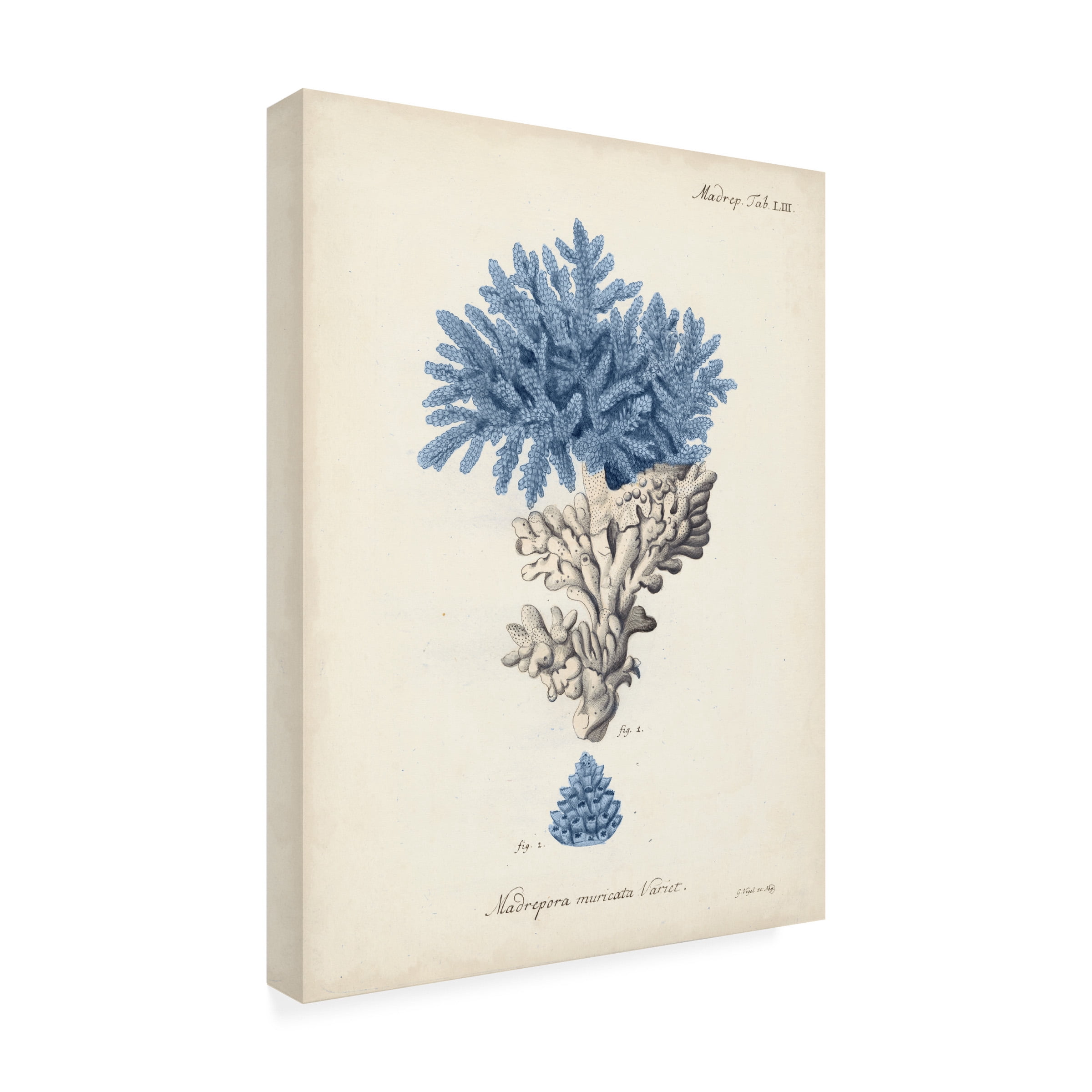 Johann Esper 'Antique Coral in Navy III' Canvas Art