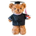 Class Of 2025 Graduation Plush Stuffed Bear In Black Cap, 11.8 Inches