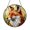 Acrylic 3.5 Inch, variant on Woodland Fox Sun Catcher Glass Style Round Window Decoration