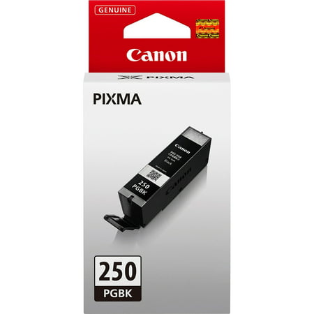 Canon, CNMPGI250PGBK, PGI-250 Black Pigment Ink Cartridge, 1 (Best Pigment Ink Printer)