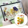 thumbnail image 3 of pitrice Dried Pressed Flower Handmade Decorative Dried Pressed Flower Artificial Flowers Dry Plant Resin Scrapbook Craft DIY Accessories Home Type 7, 3 of 9